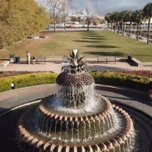 Meet your Posher, Benjamin